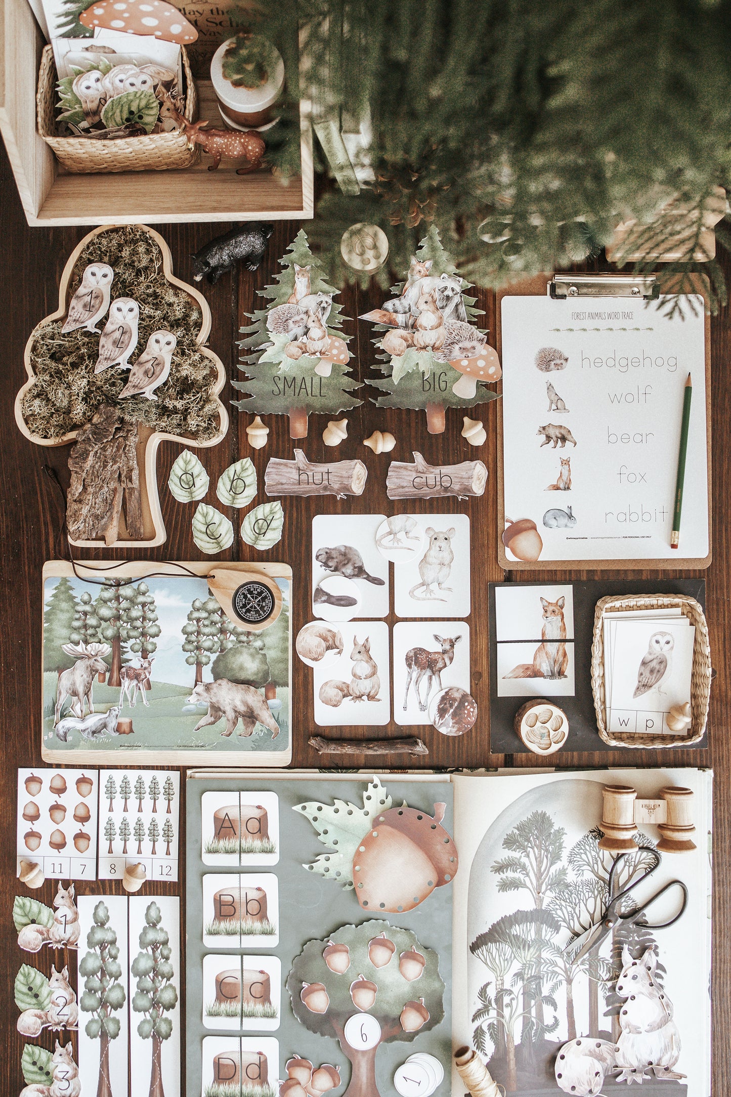FORESTRY MORNING BASKET