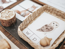 Load image into Gallery viewer, FORESTRY MORNING BASKET
