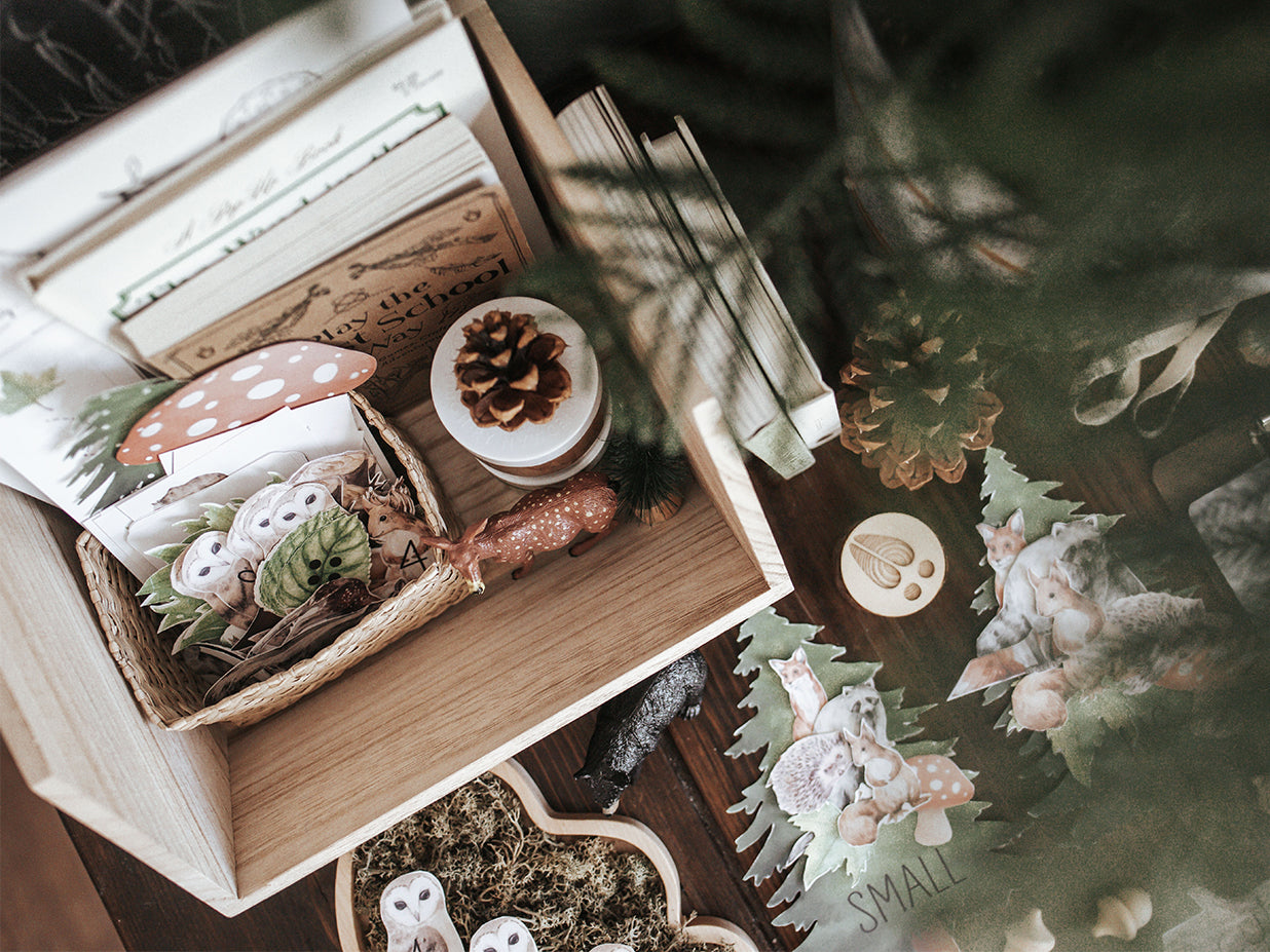FORESTRY MORNING BASKET