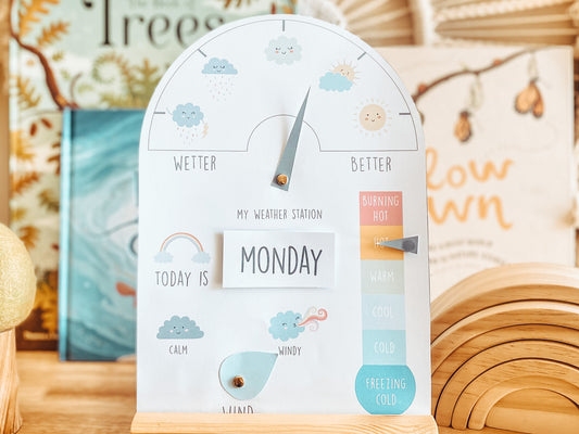WEATHER STATION
