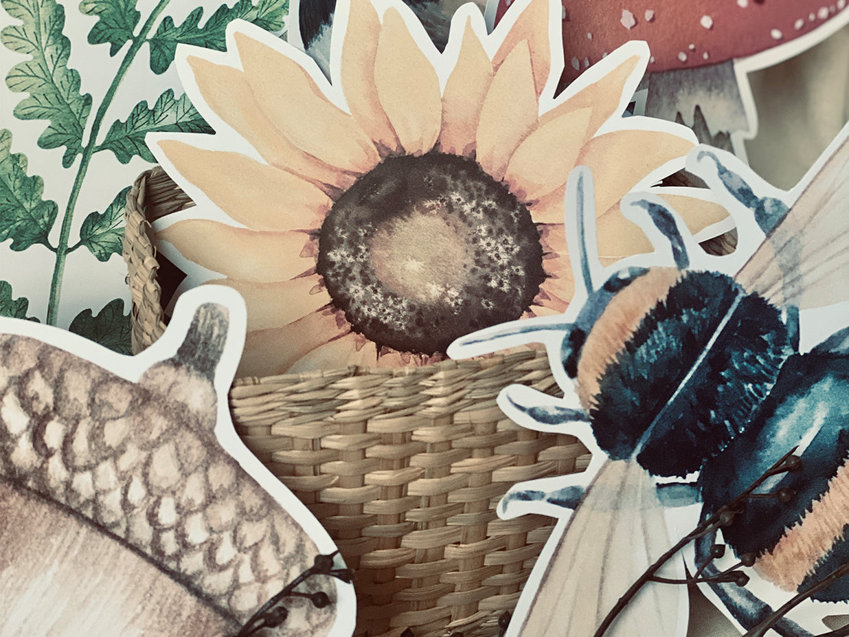 NATURE CUT OUTS