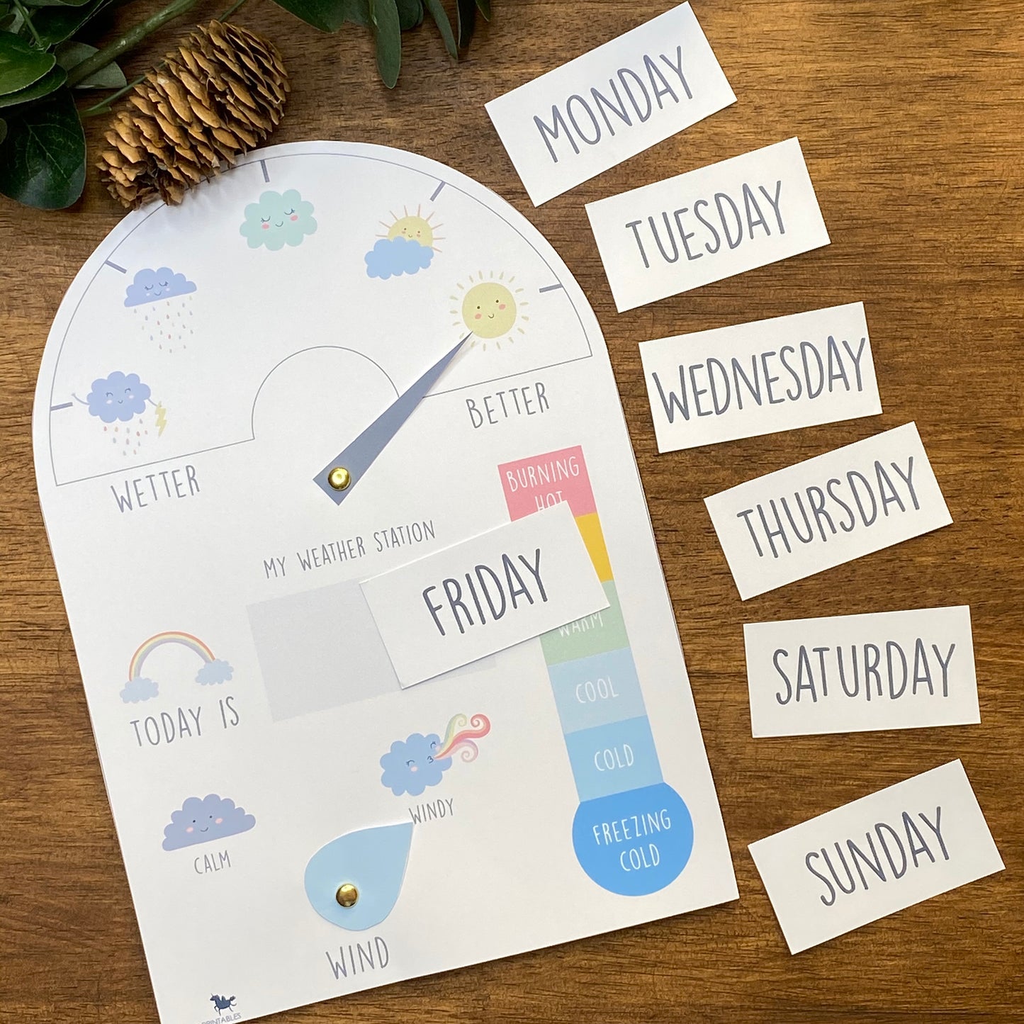 WEATHER STATION