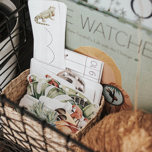 TROPICAL ECOLOGY MORNING BASKET