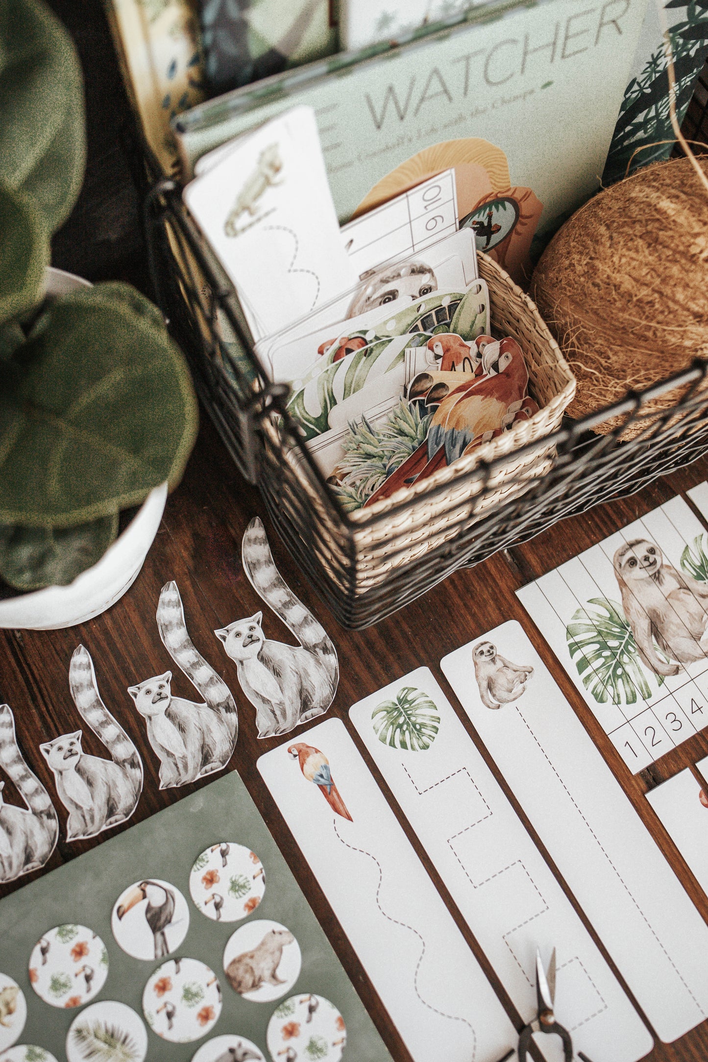TROPICAL ECOLOGY MORNING BASKET