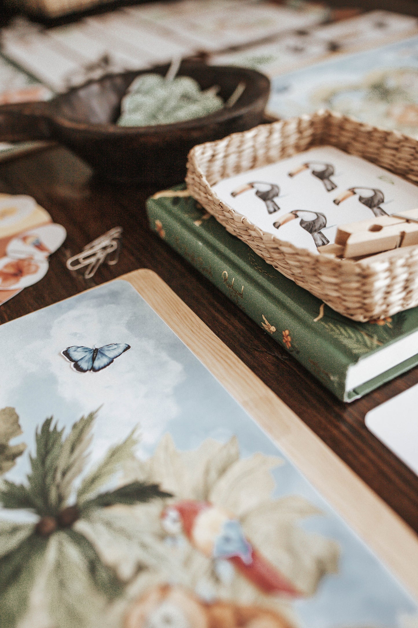 TROPICAL ECOLOGY MORNING BASKET