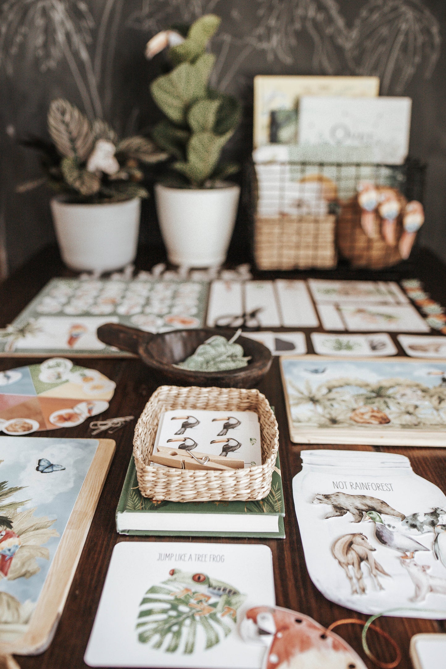 TROPICAL ECOLOGY MORNING BASKET