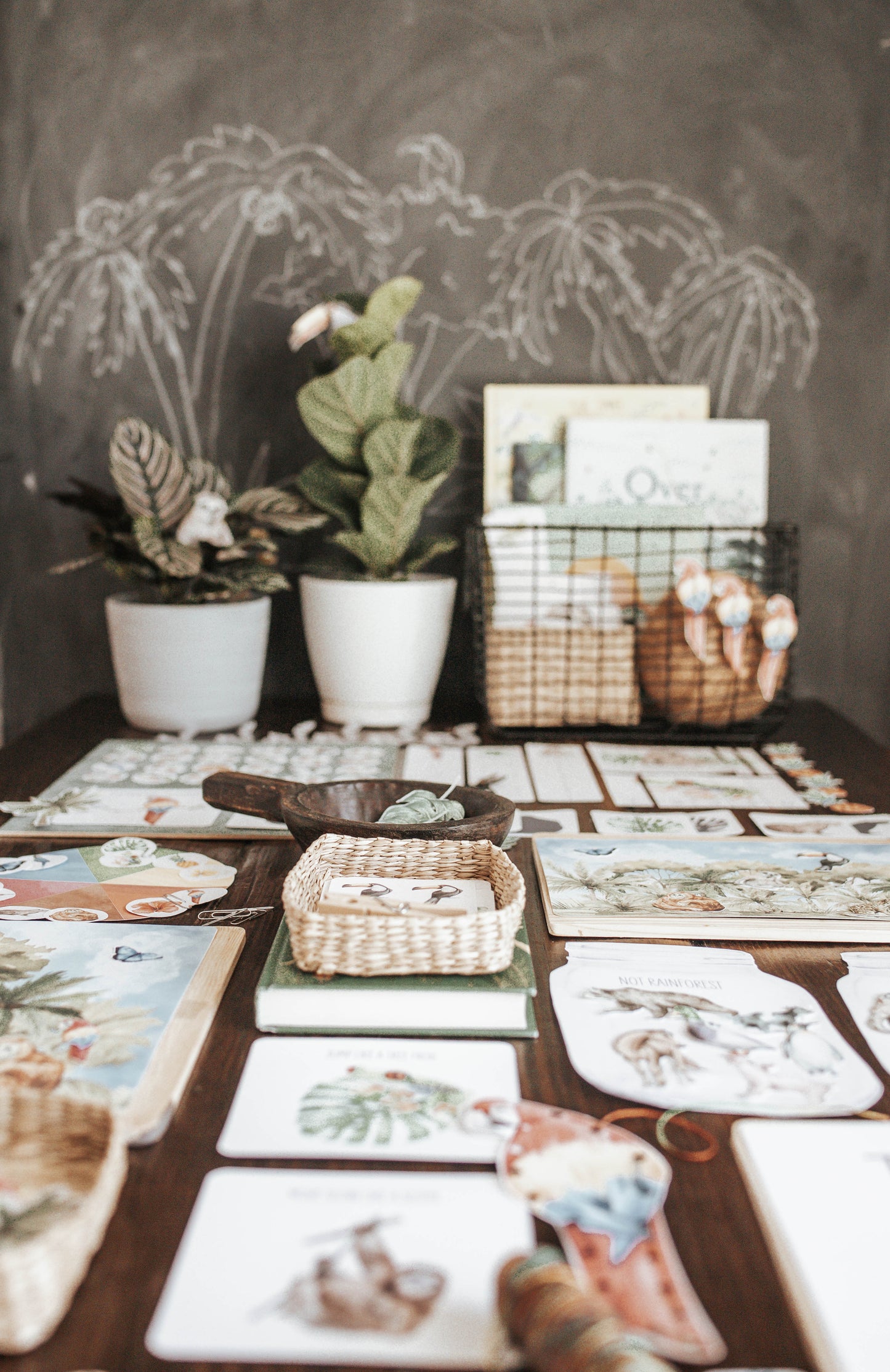 TROPICAL ECOLOGY MORNING BASKET