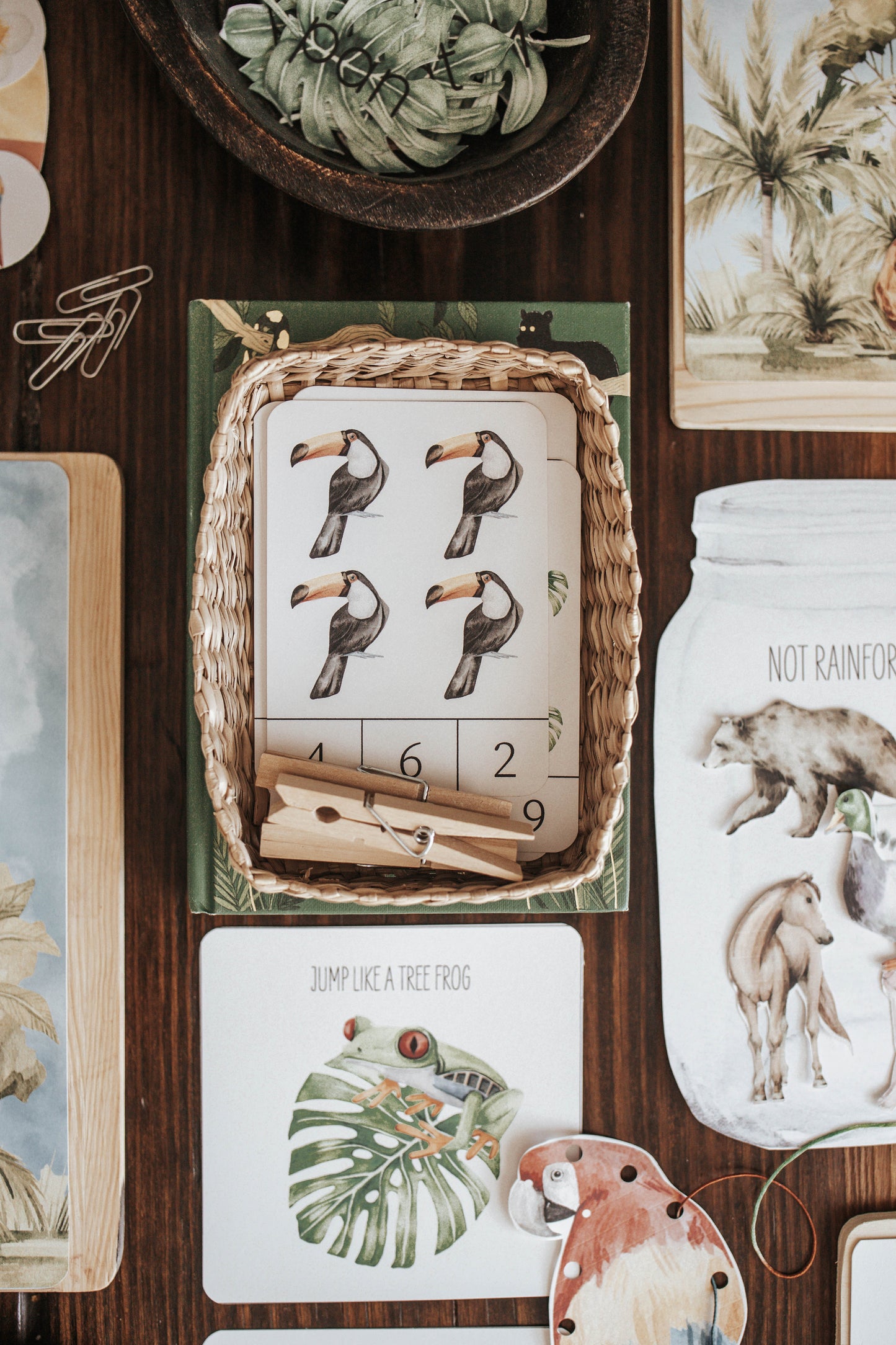 TROPICAL ECOLOGY MORNING BASKET