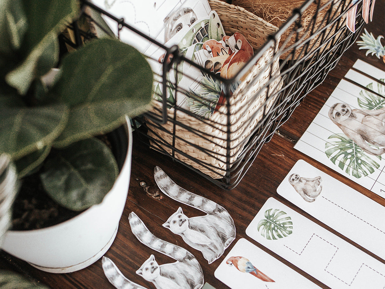 TROPICAL ECOLOGY MORNING BASKET