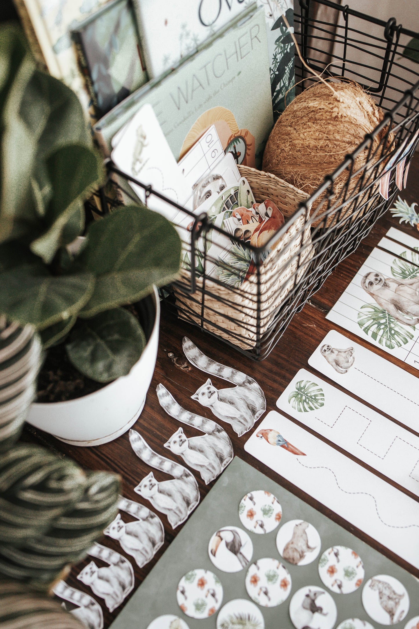 TROPICAL ECOLOGY MORNING BASKET