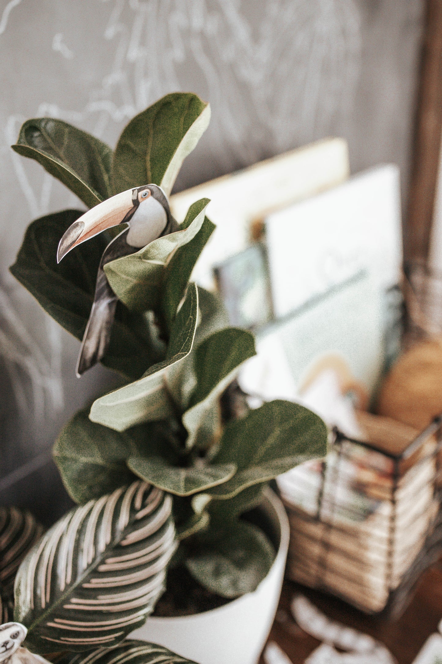 TROPICAL ECOLOGY MORNING BASKET