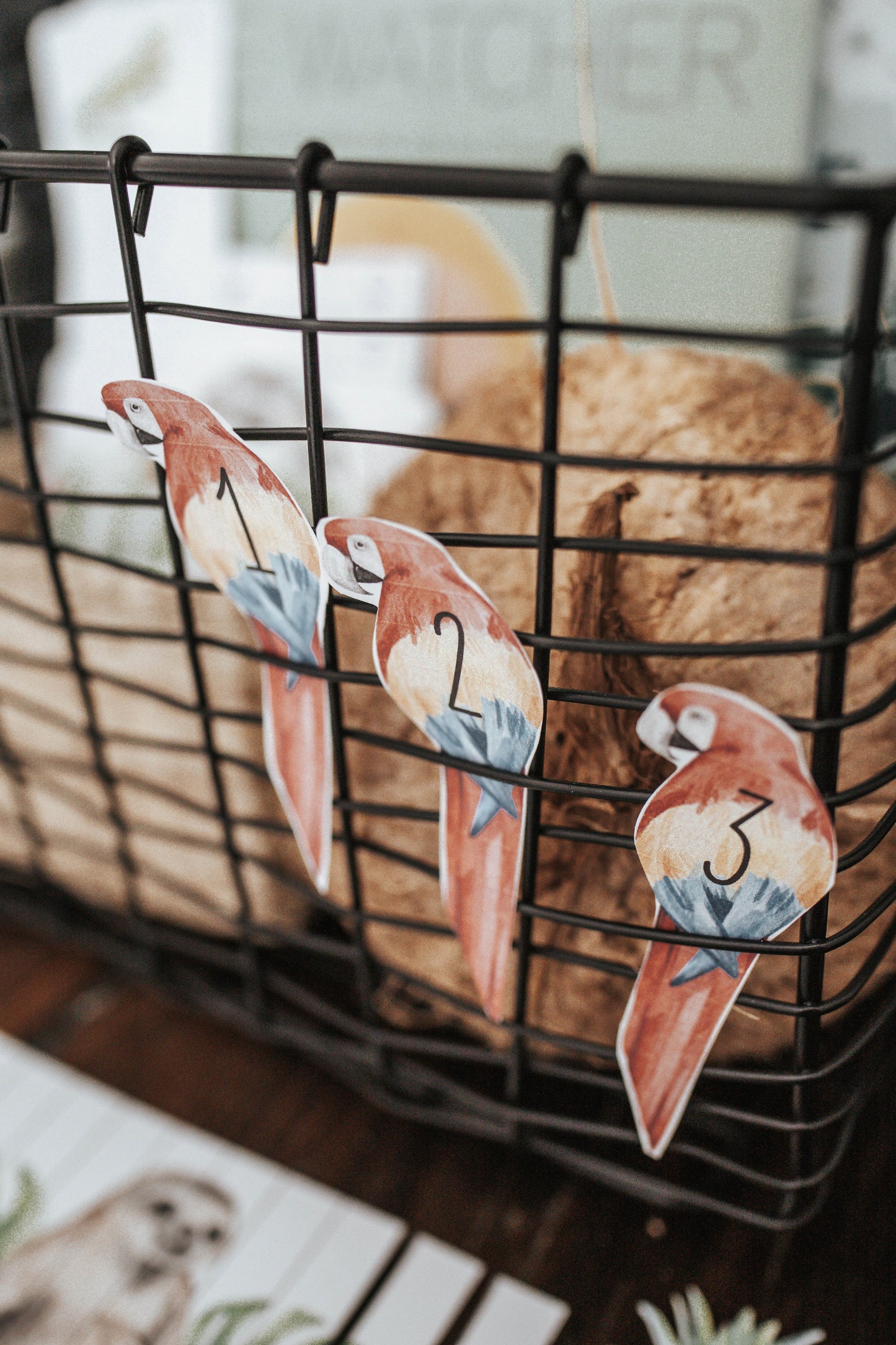 TROPICAL ECOLOGY MORNING BASKET