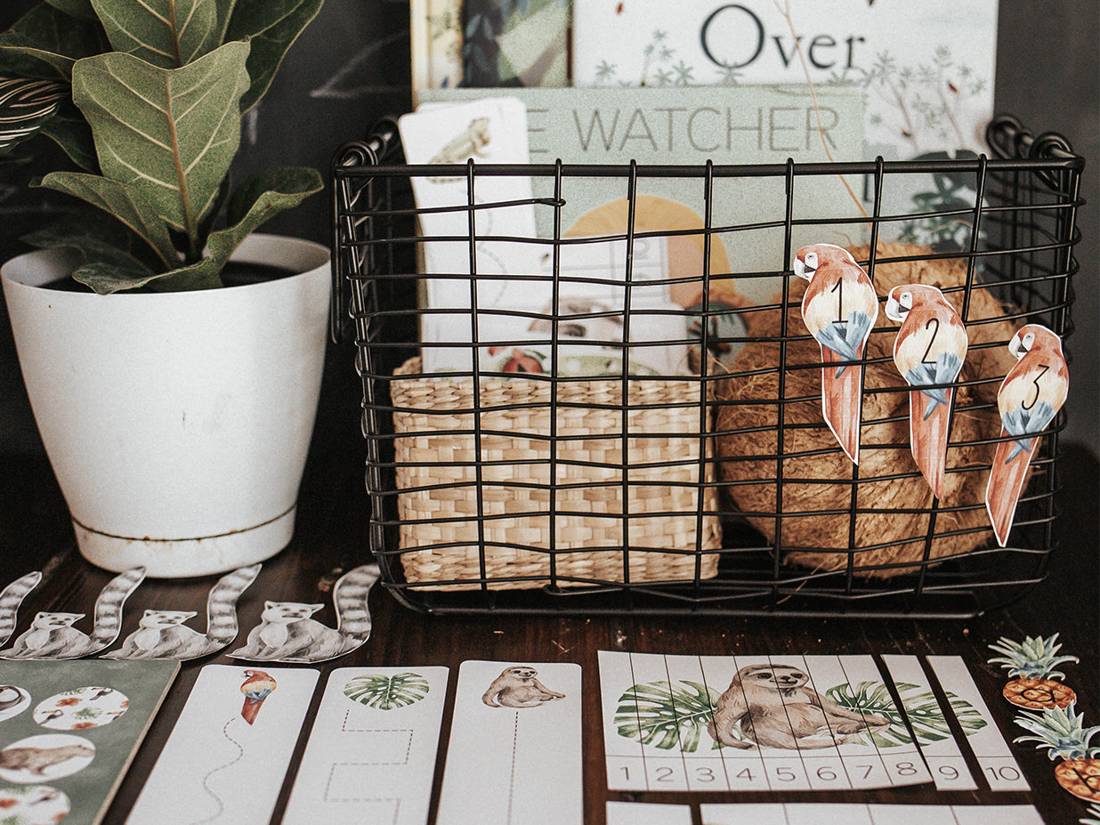 TROPICAL ECOLOGY MORNING BASKET