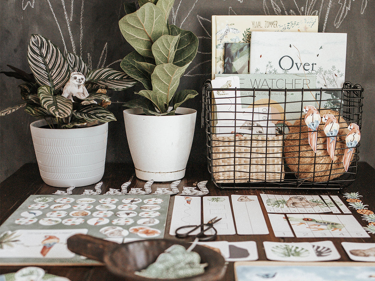 TROPICAL ECOLOGY MORNING BASKET