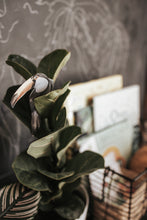 Load image into Gallery viewer, TROPICAL ECOLOGY MORNING BASKET
