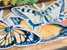 Load image into Gallery viewer, LARGE BUTTERFLY CUT OUTS
