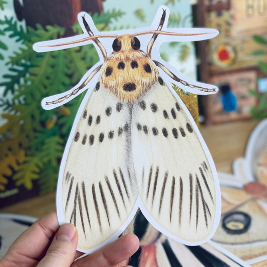 LARGE MOTH CUT OUTS