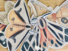 Load image into Gallery viewer, LARGE MOTH CUT OUTS
