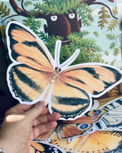 Load image into Gallery viewer, LARGE BUTTERFLY CUT OUTS
