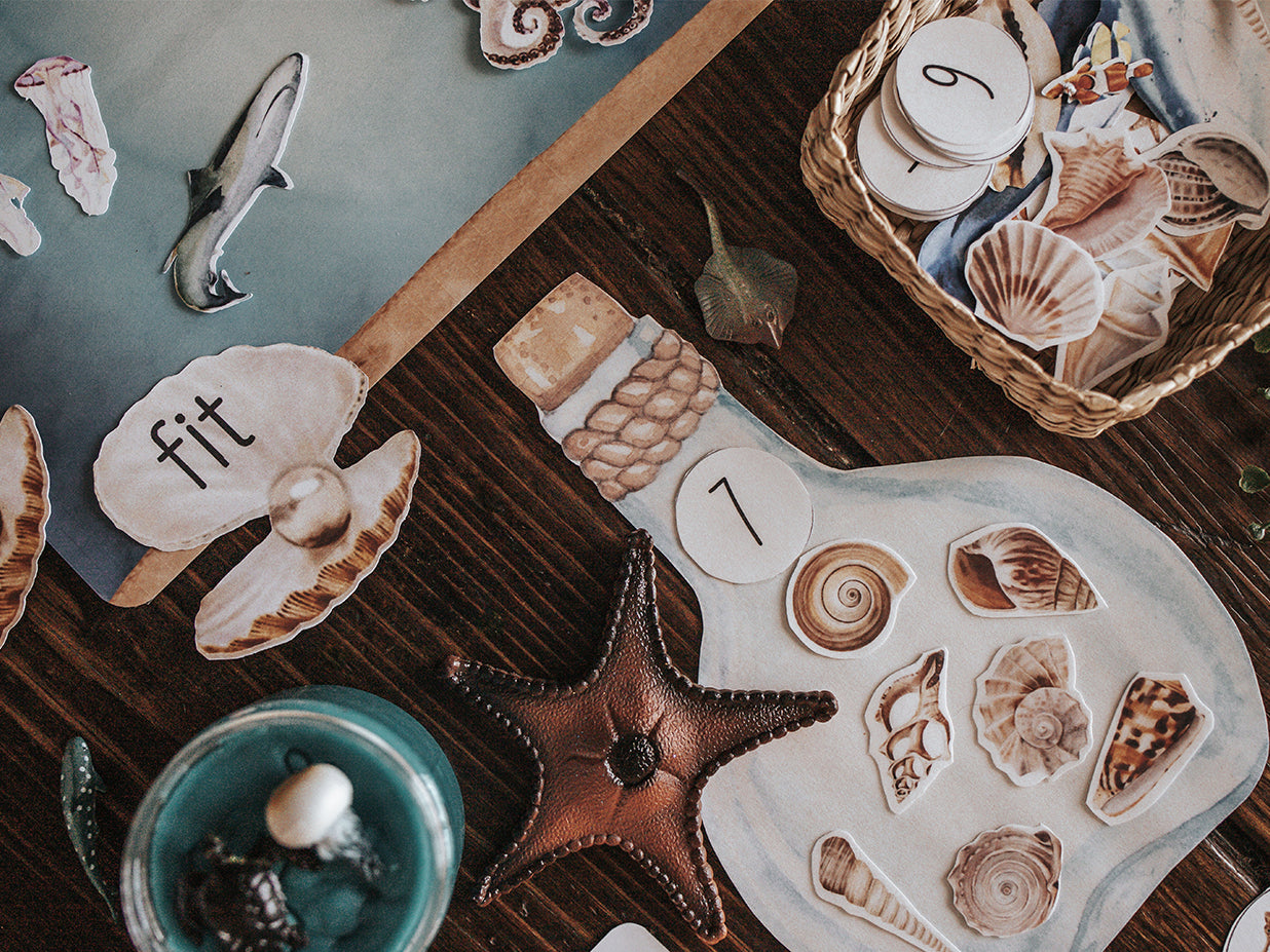 OCEANOGRAPHY MORNING BASKET