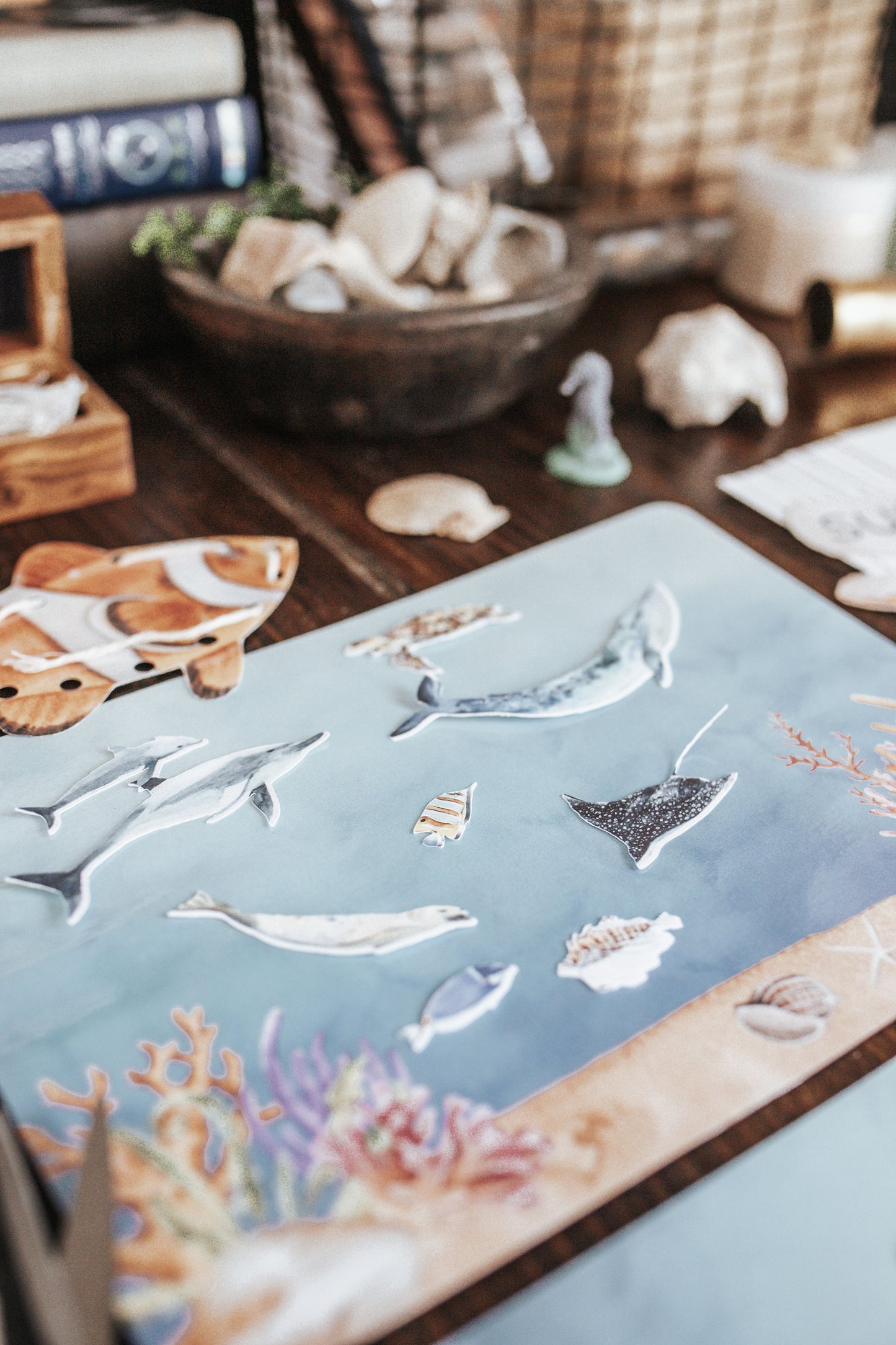 OCEANOGRAPHY MORNING BASKET