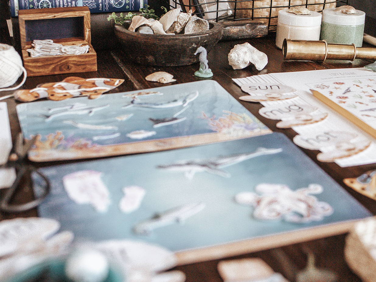 OCEANOGRAPHY MORNING BASKET