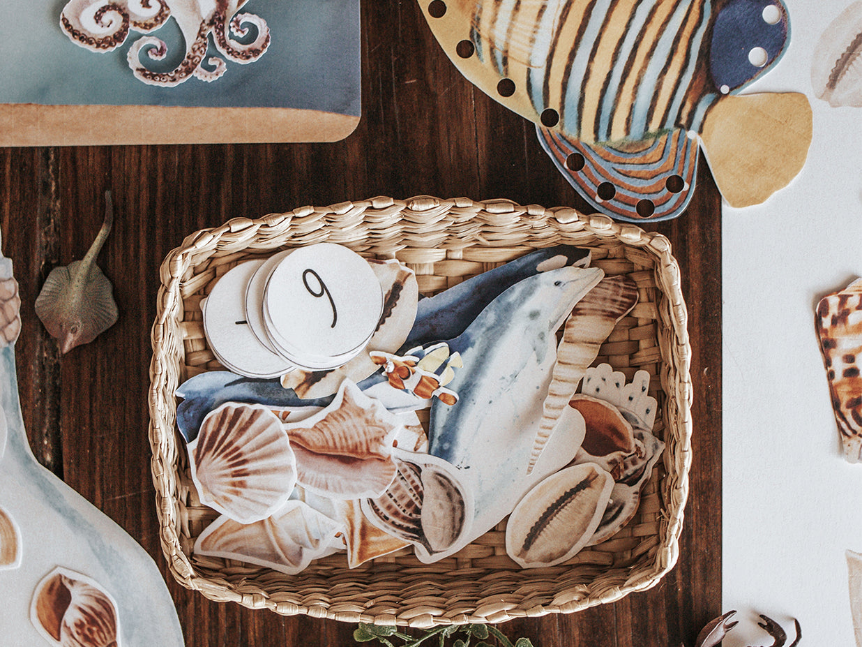 OCEANOGRAPHY MORNING BASKET